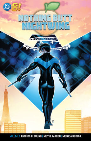 Nothing Butt Nightwing V1